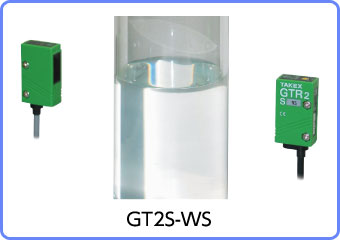 GT2S-WS